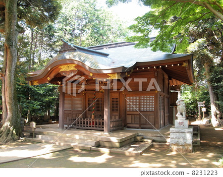 Nagareyama /大宮神社 Nagareyama /大宮神社 8231223
