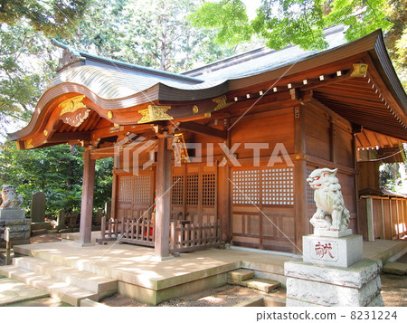Nagareyama /大宮神社 Nagareyama /大宮神社 8231224