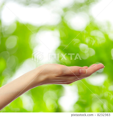 Female hand on young green leaves background Female hand on young green leaves background 8232363