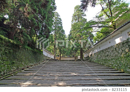Lotus Castle · Otemon inside, road to Honmaru Lotus Castle · Otemon inside, road to Honmaru 8233115