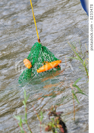 Capture salmon 8233478