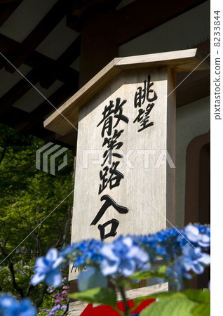 Guide to Hase-dera Wandering Walk 8233844