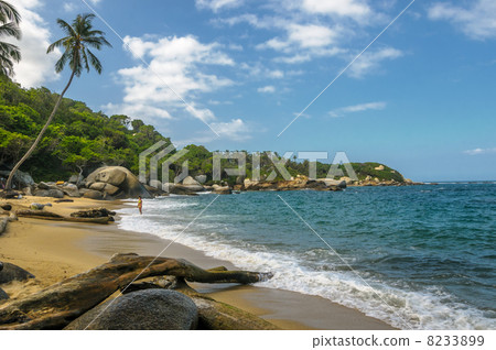 Beaches of Tayrona national park, Colombia Beaches of Tayrona national park, Colombia 8233899