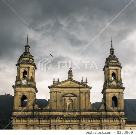 Primate Cathedral, Bogota, Colombia Primate Cathedral, Bogota, Colombia 8233909