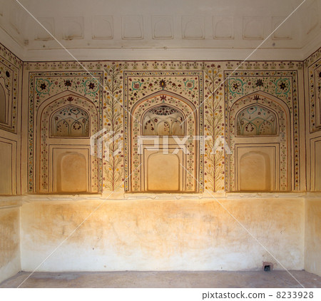 ornament on wall of palace in Jaipur fort 8233928