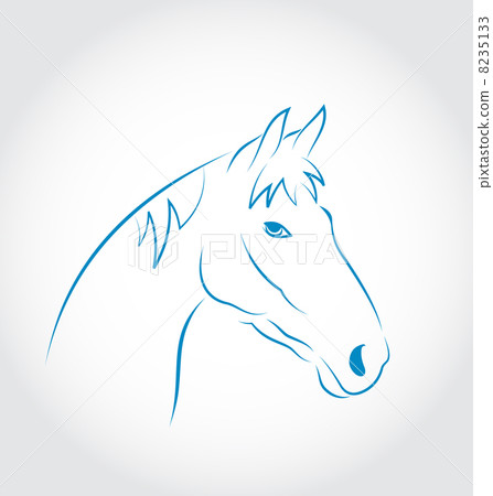 Hand drawn head horse isolated on white background - Stock Illustration ...