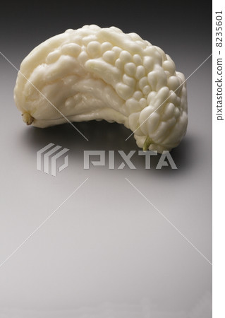 白苦 白苦 8235601