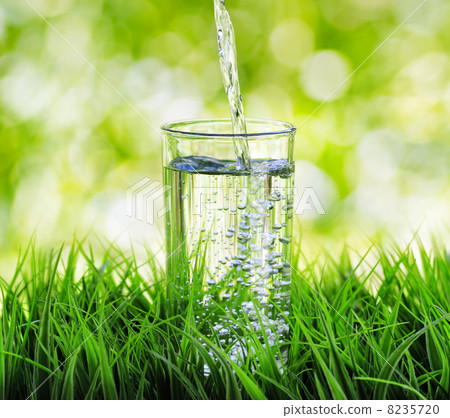 Glass of water on nature background Glass of water on nature background 8235720