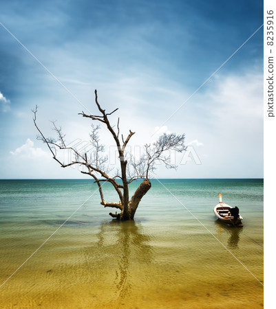 Dry tree and boat in water 8235916