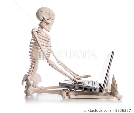 Skeleton working on laptop 8236257