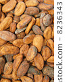 Cacao beans 8236343