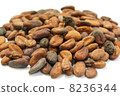 Cacao beans 8236344