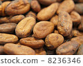 Cacao beans 8236346