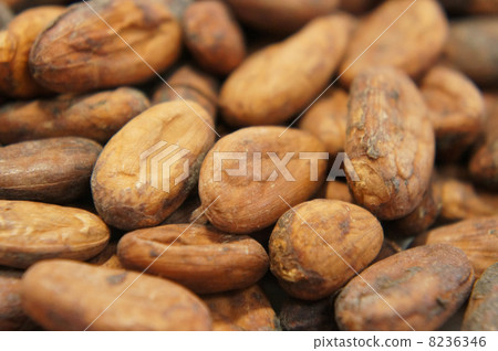 Cacao beans 8236346