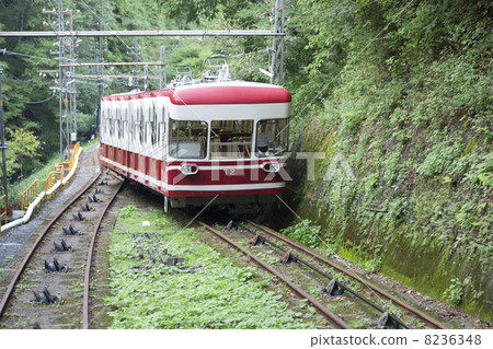 Koyasan cable 8236348
