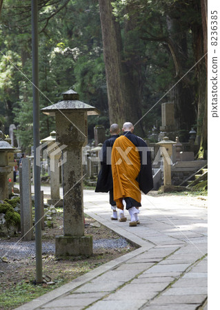 Mountain path of Koyasan Okunoin 8236385
