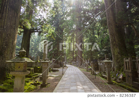 Koyasan Okunoin山道路 Koyasan Okunoin山道路 8236387