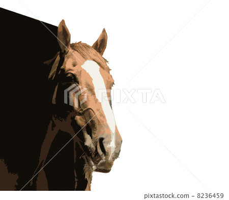 一匹馬 8236459