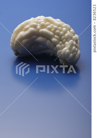 白苦 8236523