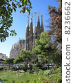 Sakurada Familia 8236662