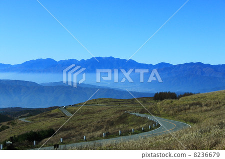 秋季金星線 秋季金星線 8236679