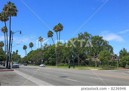 Los Angeles, luxury residential area of Beverly Hills 8236946