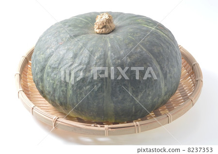 Pumpkin Pumpkin 8237353