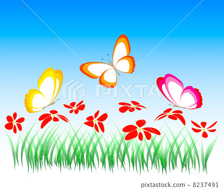 flowers and butterflies, illustration, vector flowers and butterflies, illustration, vector 8237491