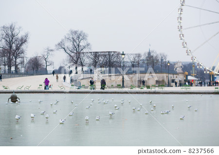 Cold winter day in Paris 8237566