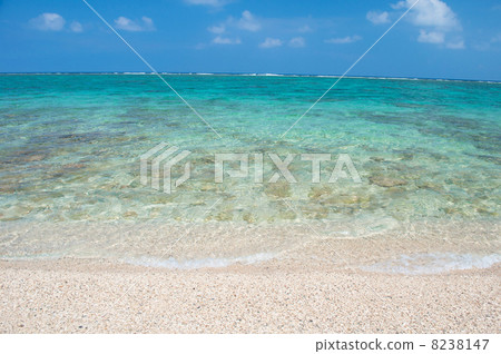 The beach of Okinawa's oceanfront beach 8238147
