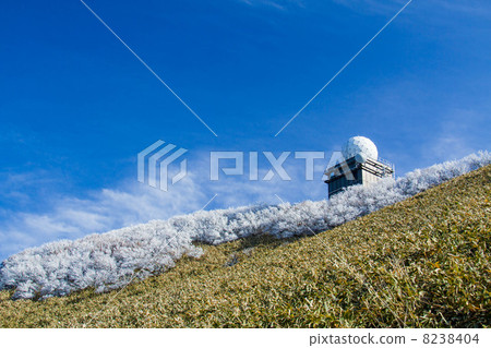 Ehime Prefecture Kumi Takahara-cho, Kochi Prefecture Nitodokawa-cho Akishinyama Ehime Prefecture Kumi Takahara-cho, Kochi Prefecture Nitodokawa-cho Akishinyama 8238404