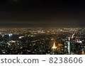 帝國大廈的夜景 8238606
