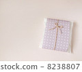 Present 8238807