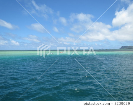 Emerald Green's Hawaiian sea Emerald Green's Hawaiian sea 8239029