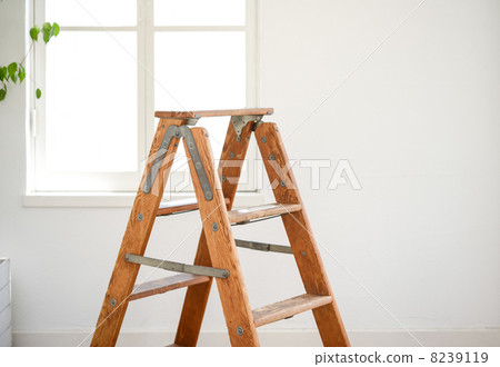 Stepladder 8239119
