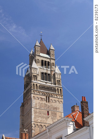 The Saint Salvador Cathedral in Bruges 8239173