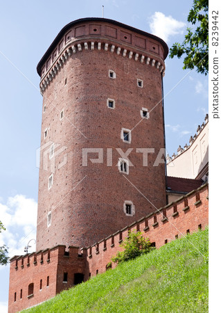 Senatorska tower of Krakow castle Senatorska tower of Krakow castle 8239442