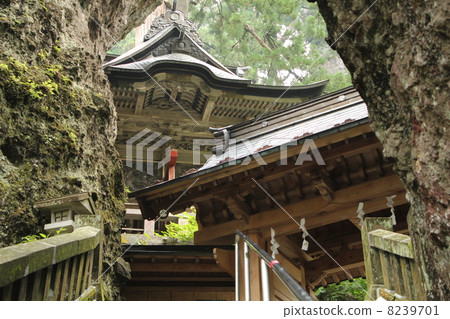 Haruna Shrine 8239701