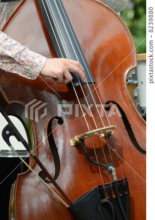 Contrabass Contrabass 8239880