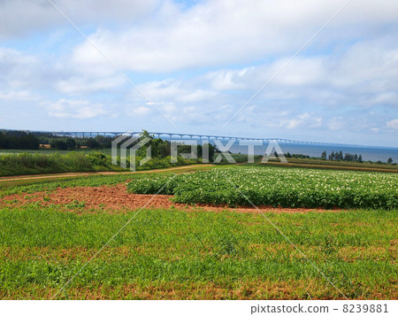 Prince-Edward Island Confederation Bridge 8239881