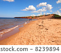 Prince Edward Island Cavendish Beach 8239894