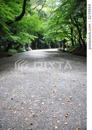 香取金谷石燈籠的做法 香取金谷石燈籠的做法 8239934