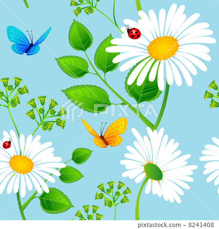 Chamomile background Chamomile background 8241408