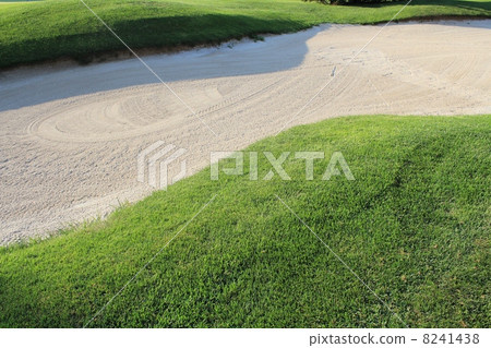 高爾夫球場 8241438