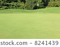 高爾夫球場 8241439