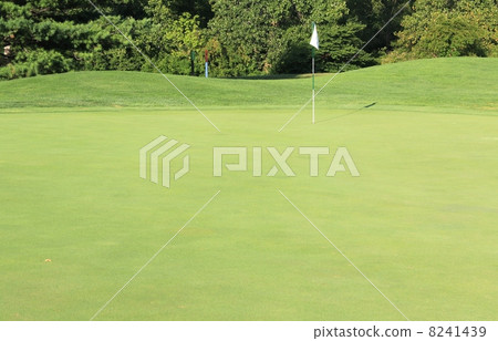 Golf course Golf course 8241439