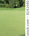 高爾夫球場 8241440