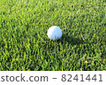 高爾夫球 8241441