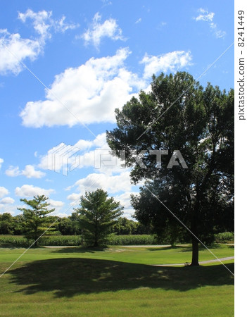 初夏的天空 8241449