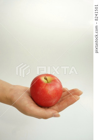 Shinano Piccolo 8241501